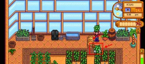 星露谷物语淡啤酒酿造方法(图5)